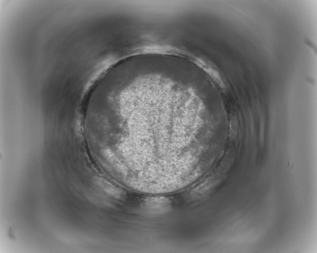 X0000096471454200802071846