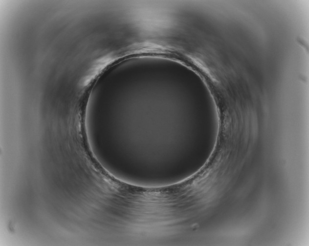 X0000096471455200802071846