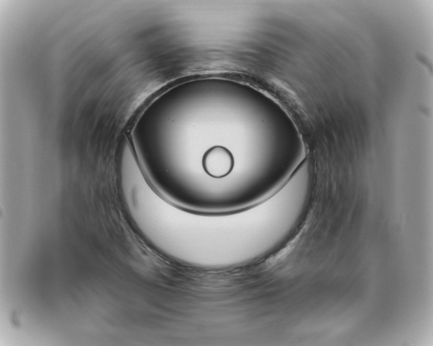 X0000096471457200802071846