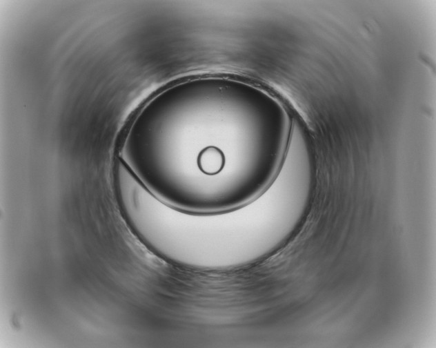 X0000096471460200802071846