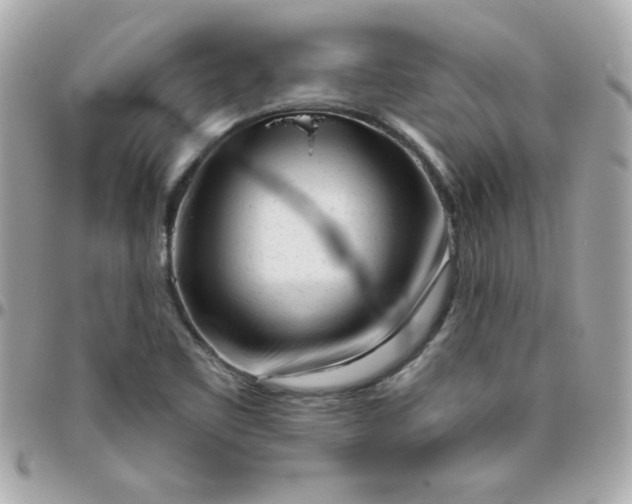 X0000096471461200802071846