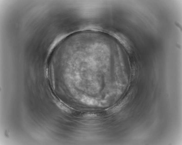 X0000096471462200802071846