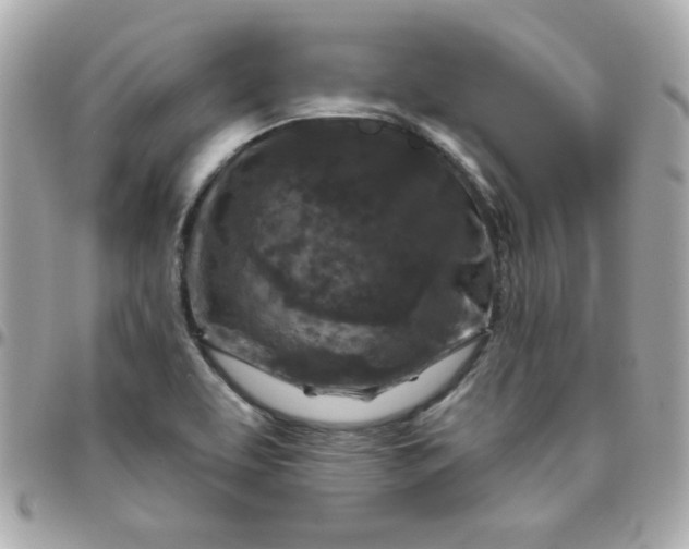 X0000096471463200802071846