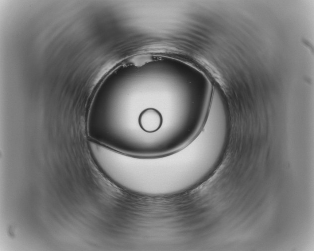 X0000096471465200802071846