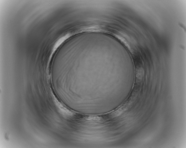 X0000096471466200802071846