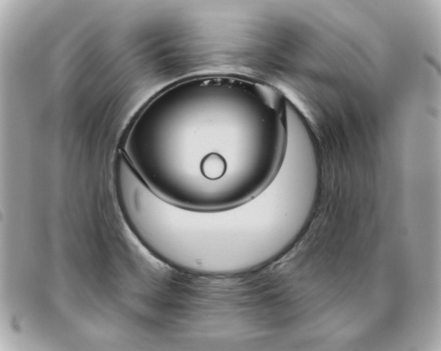 X0000096471468200802071846