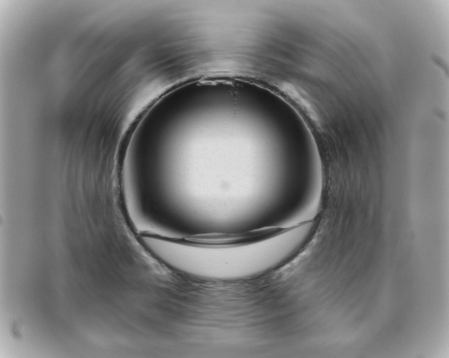 X0000096471469200802071846