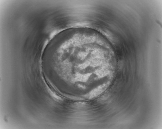 X0000096471470200802071846