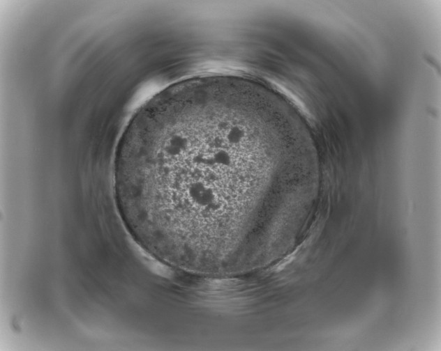 X0000096471471200802071846