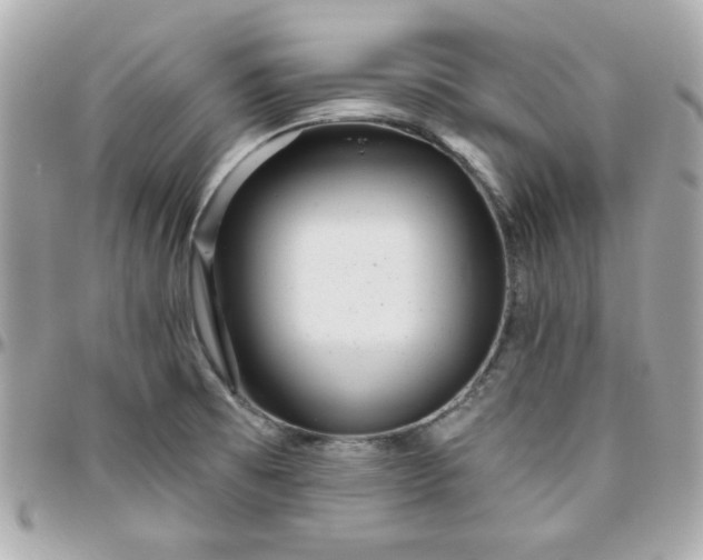 X0000096471473200802071846