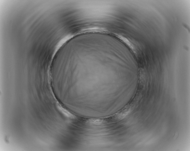 X0000096471474200802071846