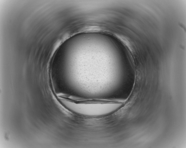 X0000096471475200802071846