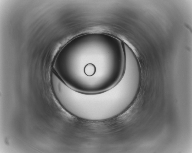 X0000096471477200802071846