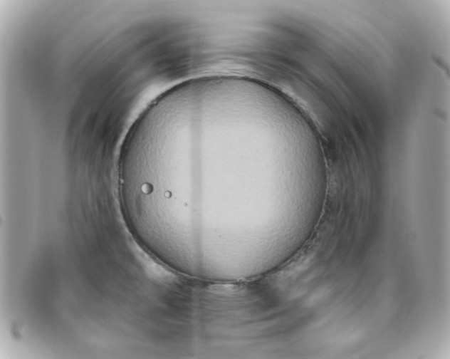 X0000096471478200802071846