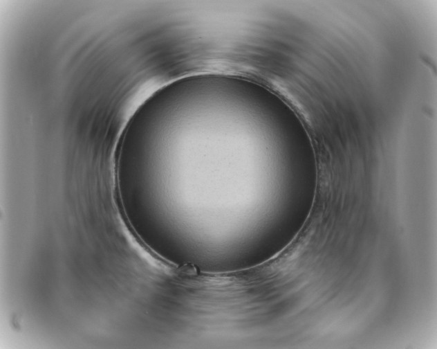 X0000096471479200802071846