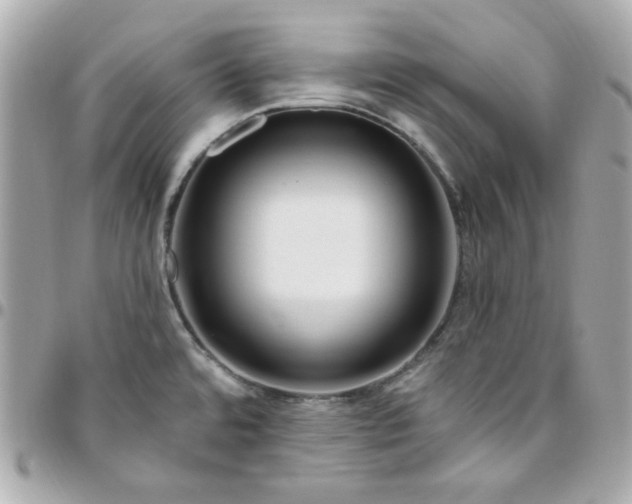 X0000096471480200802071846