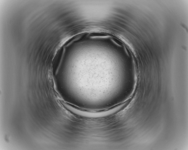 X0000096471481200802071846