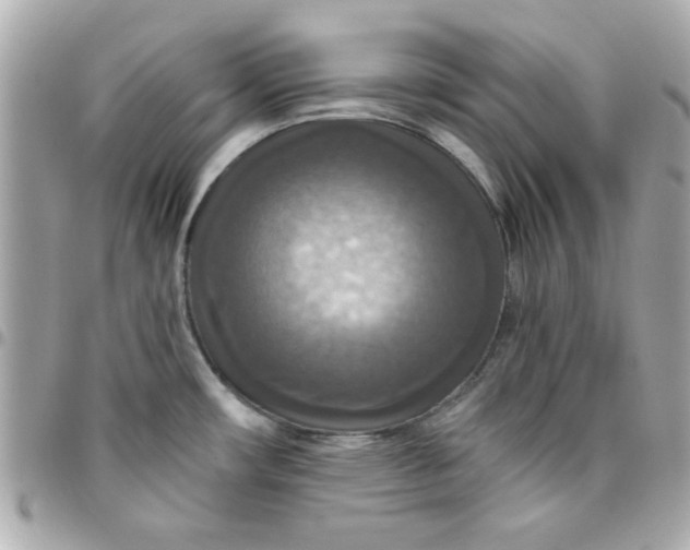 X0000096471482200802071846