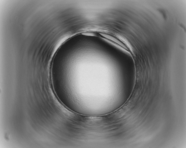 X0000096471483200802071846