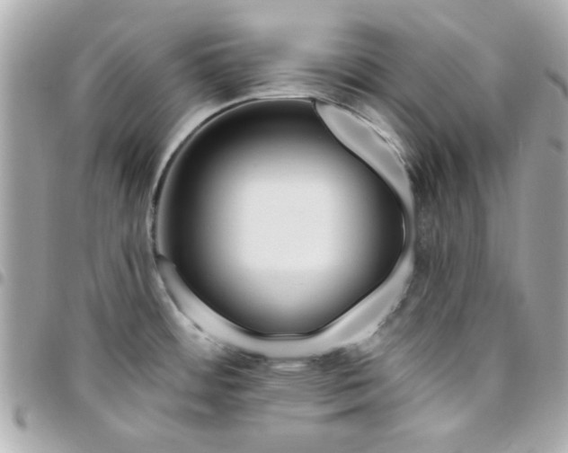 X0000096471484200802071846
