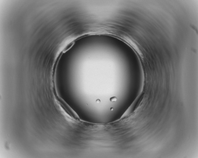 X0000096471485200802071845