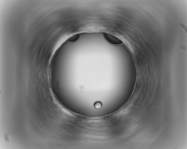 X0000096471486200802071845