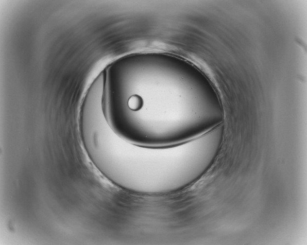 X0000096471488200802071845