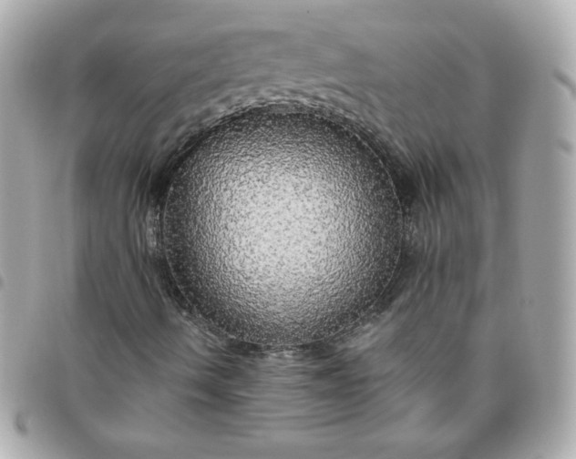 X0000096471490200802071845