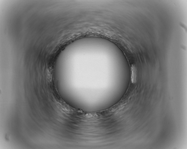 X0000096471491200802071845