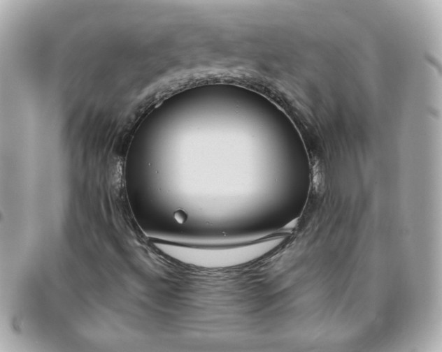 X0000096471492200802071845