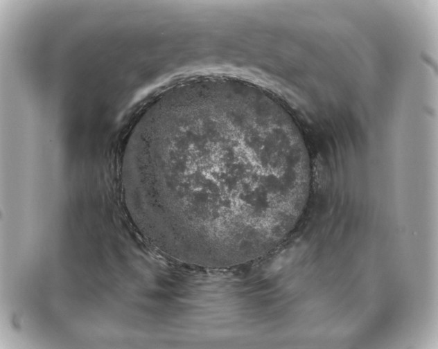 X0000096471494200802071845