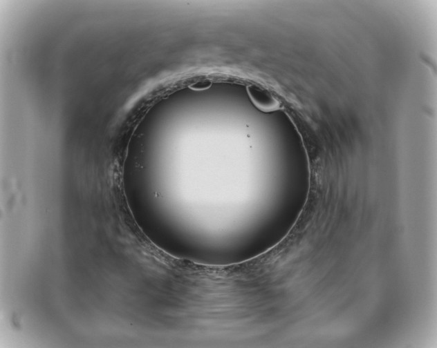X0000096471495200802071845