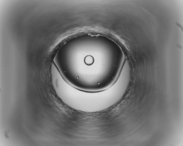 X0000096471496200802071845