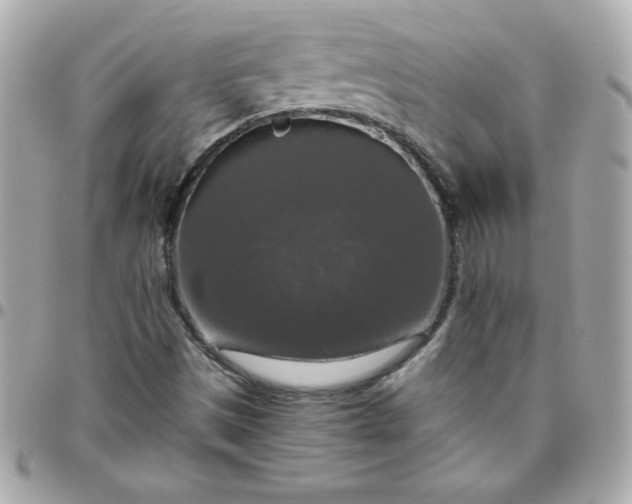 X0000096471497200802071845