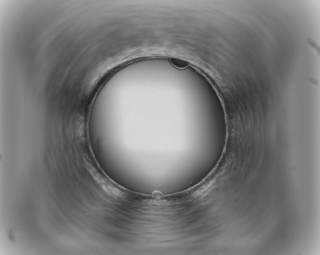 X0000096471499200802071845