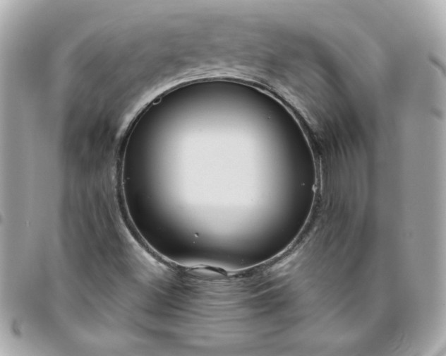 X0000096471500200802071845