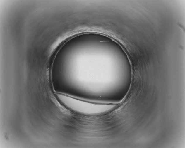 X0000096471503200802071845