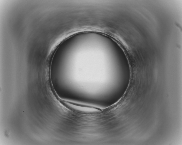 X0000096471504200802071845