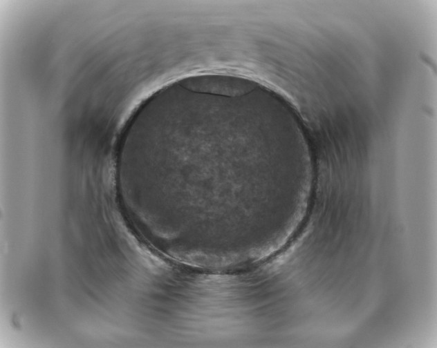 X0000096471506200802071845