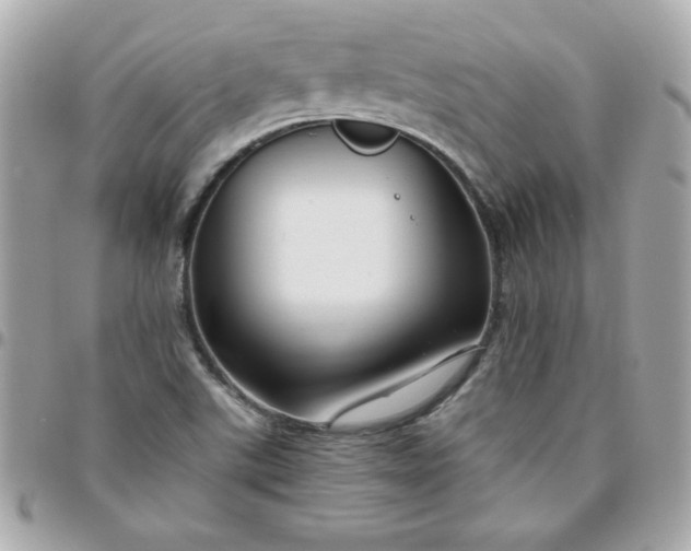 X0000096471507200802071845