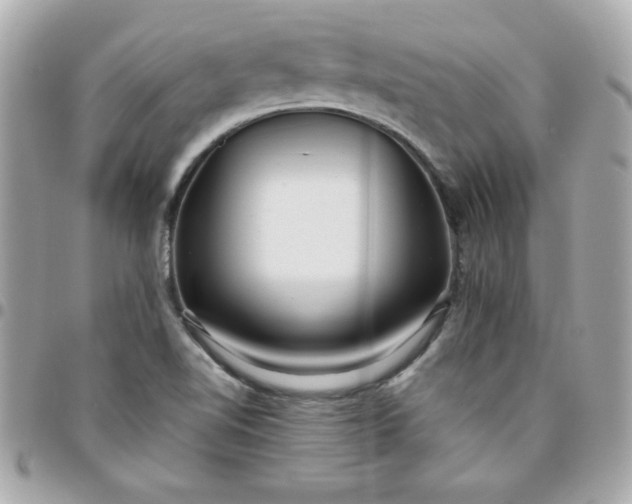 X0000096471510200802071845