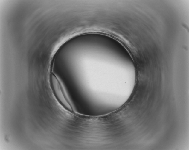 X0000096471512200802071845