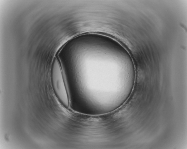 X0000096471513200802071845