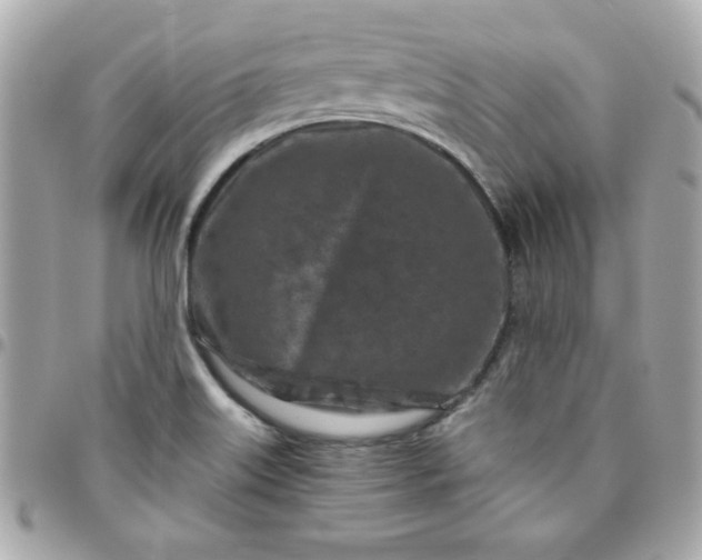 X0000096471515200802071845