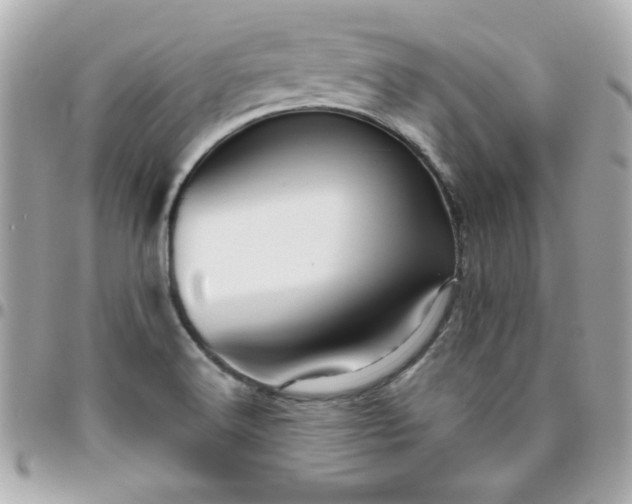 X0000096471516200802071845