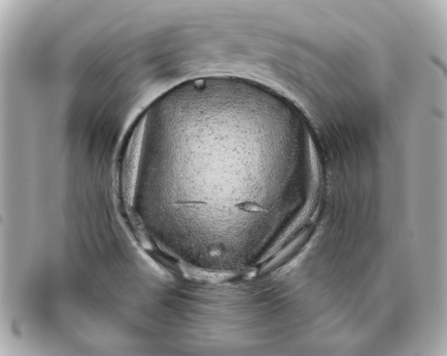 X0000096471517200802071845