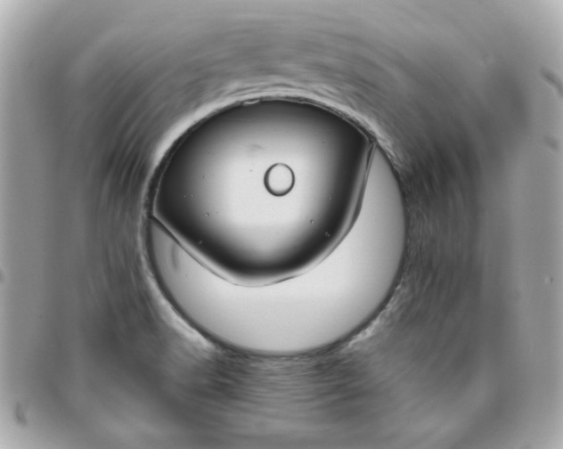 X0000096471518200802071845
