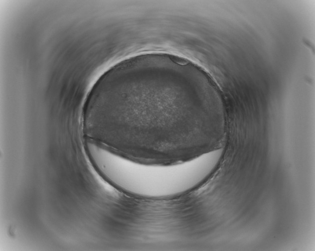 X0000096471519200802071845