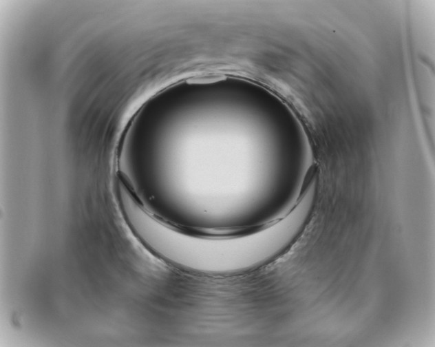 X0000096471520200802071845