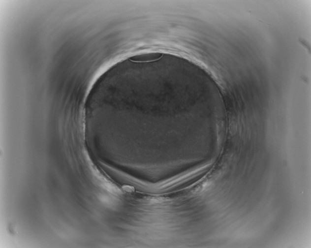 X0000096471522200802071845